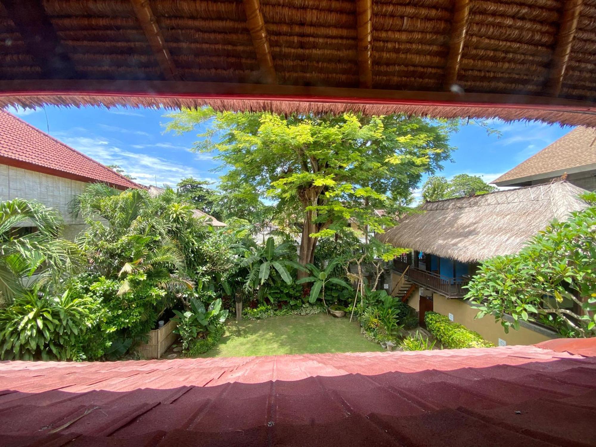 Отель Little Tree House Санур Номер фото